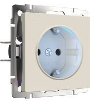 Фото Розетка Werkel W1171462