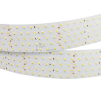 Фото Лента Arlight 025163