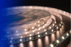 Цена на Лента DesignLed DSG260-12-WW-33