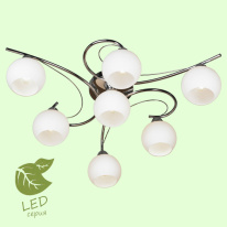 Фото Накладная люстра Lussole GRLSP-8036