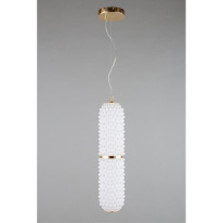 Купить Подвесной светильник APLOYT APL.332.06.22