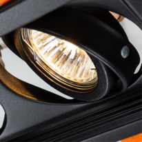 Купить Встраиваемый светильник ARTE Lamp A6661PL-2BK