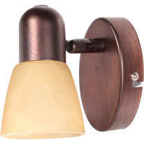 Фото Спот TOPLIGHT TL1235Y-01AB