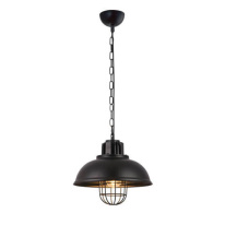 Фото Подвесной светильник Vele Luce VL6202P01