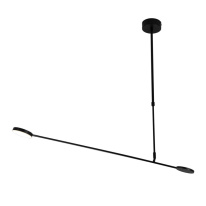 Фото Люстра на штанге Favourite 4572-1C