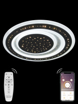 Фото Накладной светильник Natali Kovaltseva 81015/6C