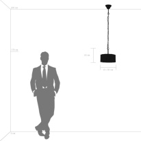 Купить с доставкой по Москве и России Подвесной светильник Lightstar 731034