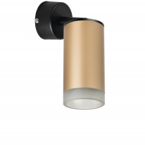 Фото Спот Lightstar RB44030