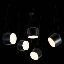 Цена на Подвесной светильник Evoluce SLE120643-05