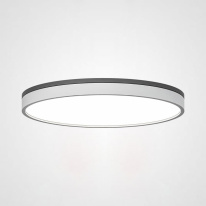 Фото Накладной светильник ImperiumLoft 181019-26