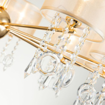 Купить с доставкой по Москве и России Подвесная люстра Favourite 2891-10P