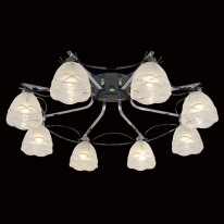 Накладная люстра Citilux CL147181 в интернет магазине Гет Лайт