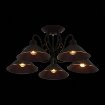 Купить Люстра на штанге Evoluce SLE120402-05