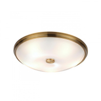 Накладной светильник Odeon Light 4956/5 Цена на Накладной светильник Odeon Light 4956/5