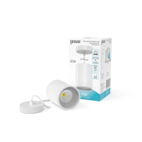 Купить Подвесной светильник Gauss HD044