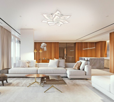 Купить с доставкой по Москве и России Накладная люстра Natali Kovaltseva LED LAMPS 81224