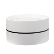 Купить Влагозащищенный светильник LeDron BARREL White