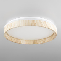 Купить  Citilux CL753352G