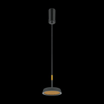 Цена на Подвесной светильник Maytoni MOD041PL-L15GB3K