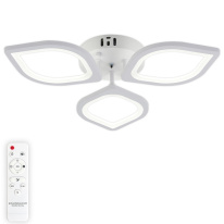 Фото Накладная люстра Natali Kovaltseva LED LAMPS 81404