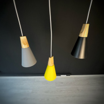 Купить с доставкой по Москве и России Подвесной светильник ImperiumLoft 178205-26