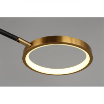 Купить с доставкой по Москве и России Люстра на штанге APLOYT APL.043.07.65