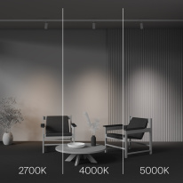 Купить с доставкой по Москве и России Maytoni Technical TR197-3-12WCCT-M-W