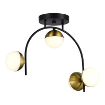 Фото Накладная люстра Evoluce SLE6500-402-04