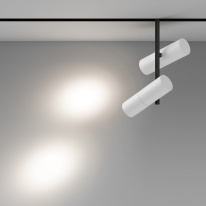 Цена на Светильник на шине Maytoni Technical TR005-2-2X12W4K-BW