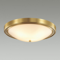 Купить Накладной светильник LUMION 5259/4C