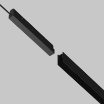 Цена на Maytoni Technical TRA034DR-100W-DD-B