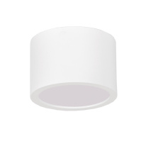 Фото Влагозащищенный светильник TopDecor Tubo IP P1 10