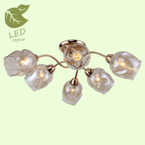 Фото Накладная люстра Lussole GRLSP-8086
