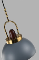 Купить Подвесной светильник Moderli V10446-1P