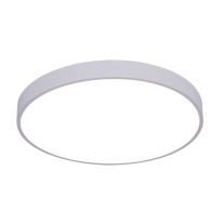 Фото Накладной светильник ARTE Lamp A2670PL-1WH