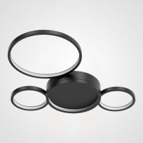 Фото Накладная люстра ImperiumLoft 204612-26