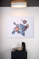 Купить Накладной светильник LUCIDE 79182/24/31