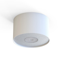 Купить Накладной светильник Nowodvorski 6000