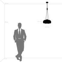 Подвесная люстра Lightstar 729031 в интернет магазине Гет Лайт