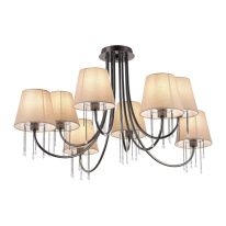 Фото Накладная люстра Evoluce SLE1118-802-08