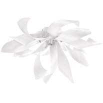 Фото Накладная люстра Lightstar 754166