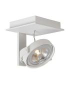 Купить Спот LUCIDE 09988/12/31