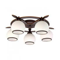 Фото Накладная люстра Omnilux OML-50507-05