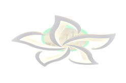 Накладная люстра Natali Kovaltseva LED LAMPS 81146 в интернет магазине Гет Лайт