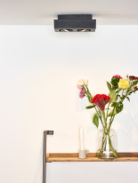 Купить Накладной светильник LUCIDE 09119/11/30