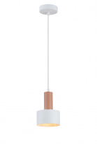 Фото Подвесной светильник Simple Story 1070-1PL