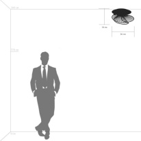 Купить с доставкой по Москве и России Накладной светильник Lightstar 728133