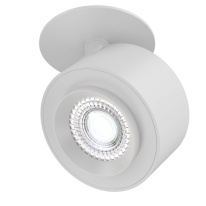 Спот Maytoni Technical C063CL-L12W4K Фото Спот Maytoni Technical C063CL-L12W4K