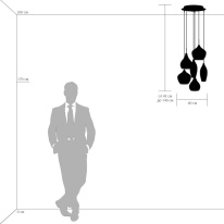 Купить Подвесная люстра Lightstar 803063