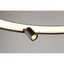 Купить с доставкой по Москве и России Подвесная люстра APLOYT APL.041.13.50